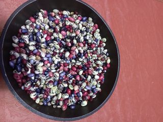 순연농장님의 11월 내 작물 자랑하기 · 참여글 작성글 사진