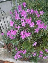 팜모닝 자유주제·자유게시판 게시글 이미지