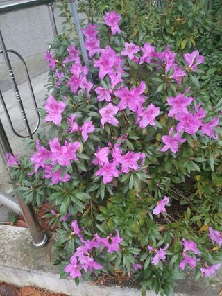 엘림농장님의 자유주제 · 자유게시판 작성글 사진