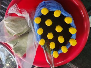 이민희님의 들깨 · 자유게시판 작성글 사진