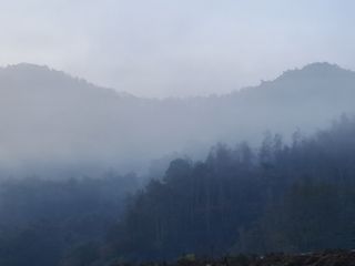 한명희님의 자유주제 · 사진전 작성글 사진