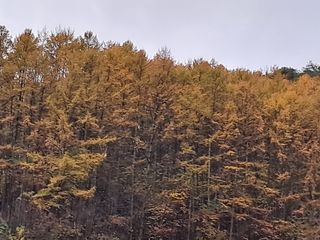 한명희님의 자유주제 · 사진전 작성글 사진