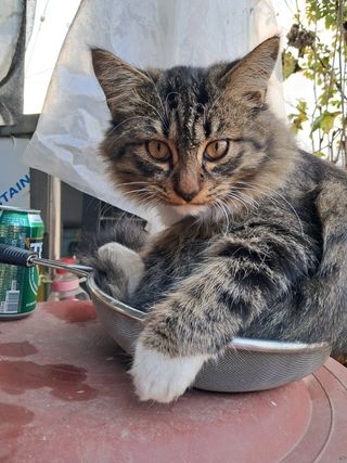 한명희님의 자유주제 · 사진전 작성글 사진