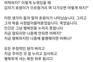 심수연님의 자유주제 · 자유게시판 작성글 사진