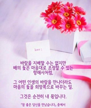 심수연님의 자유주제 · 자유게시판 작성글 사진