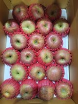 팜모닝 사과·수확 게시글 이미지