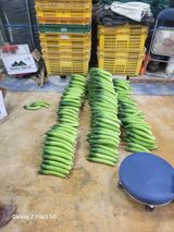 팜모닝 오이·자유게시판 게시글 이미지