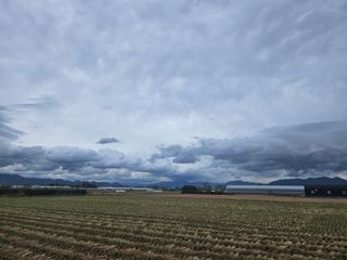 김지연님의 토마토 · 일상 작성글 사진