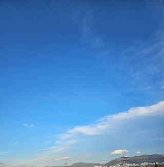 김지연님의 토마토 · 일상 작성글 사진