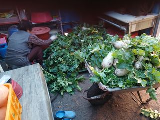 알 수 없음님의 우리동네 · 동네수다 작성글 사진