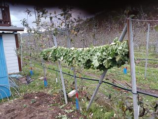 알 수 없음님의 우리동네 · 동네수다 작성글 사진