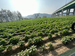 김미현님의 11월 내 작물 자랑하기 · 참여글 작성글 사진