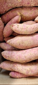 팜모닝 11월 내 작물 자랑하기·참여글 게시글 이미지