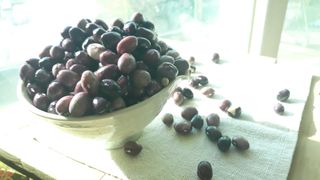 손주노님의 11월 내 작물 자랑하기 · 참여글 작성글 사진