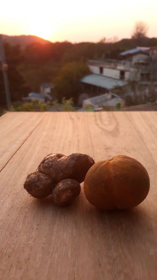 손주노님의 11월 내 작물 자랑하기 · 참여글 작성글 사진