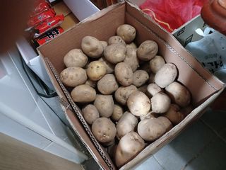 알 수 없음님의 우리동네 · 동네수다 작성글 사진