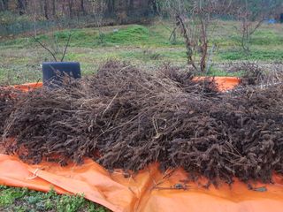 정석구님의 자유주제 · 자유게시판 작성글 사진