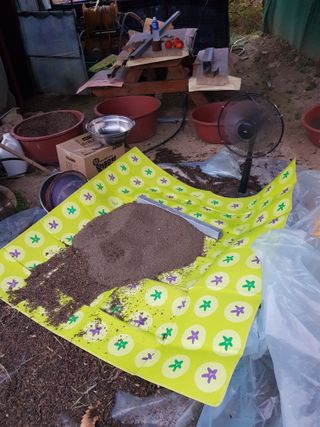 정석구님의 자유주제 · 자유게시판 작성글 사진