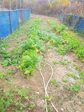 정석구님의 자유주제 · 자유게시판 작성글 사진