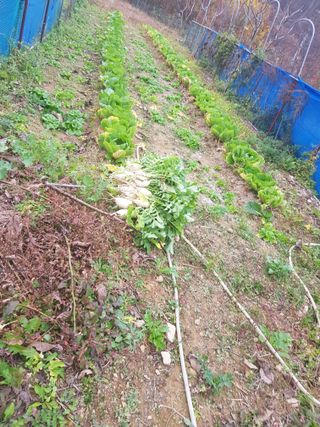 정석구님의 자유주제 · 자유게시판 작성글 사진