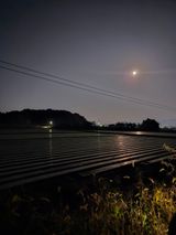 팜모닝 양파·자유게시판 게시글 이미지