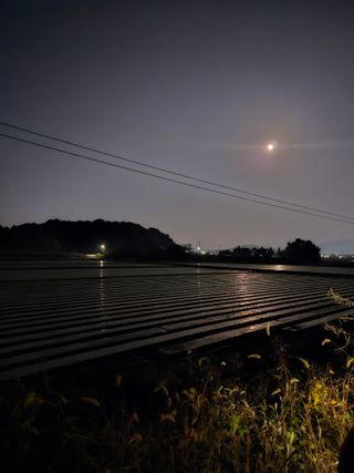 주쭈쮸농님의 양파 · 자유게시판 작성글 사진