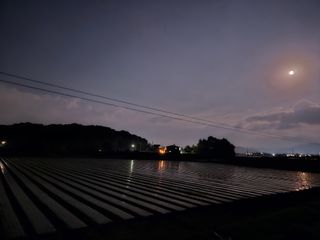 주쭈쮸농님의 양파 · 자유게시판 작성글 사진