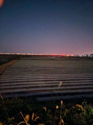 주쭈쮸농님의 양파 · 자유게시판 작성글 사진