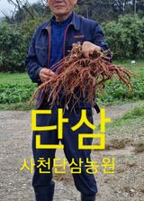 팜모닝회원김찬정님의 11월 내 작물 자랑하기·참여글 작성글 사진
