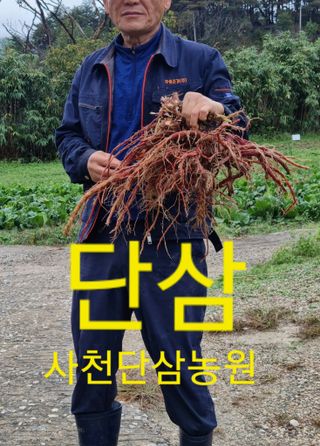 팜모닝회원김찬정님의 11월 내 작물 자랑하기 · 참여글 작성글 사진