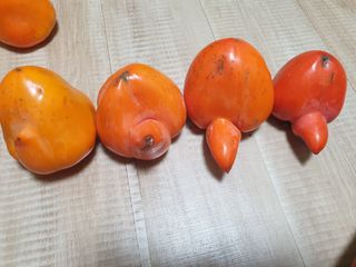 최순님의 자유주제 · 자유게시판 작성글 사진