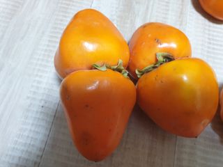 최순님의 자유주제 · 자유게시판 작성글 사진