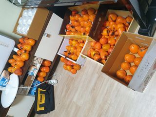 최순님의 자유주제 · 자유게시판 작성글 사진