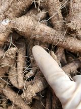 팜모닝 · 게시글 이미지