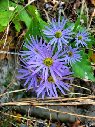 산신님의 자유주제 · 사진전 작성글 사진