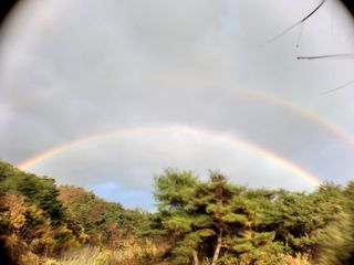 산신님의 자유주제 · 사진전 작성글 사진