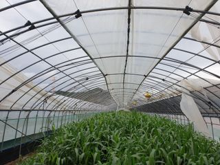 전원수님의 하우스정보 · 자유게시판 작성글 사진