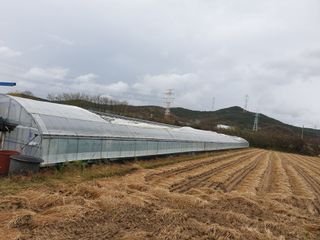 전원수님의 하우스정보 · 자유게시판 작성글 사진