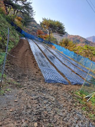 토종벌님의 11월 내 작물 자랑하기 · 참여글 작성글 사진