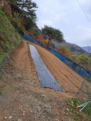 토종벌님의 11월 내 작물 자랑하기 · 참여글 작성글 사진