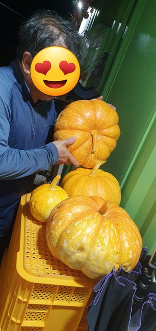 김귀분님의 11월 내 작물 자랑하기 · 참여글 작성글 사진