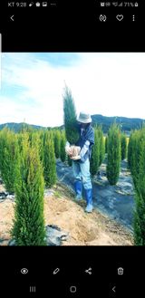 팜모닝 11월 내 작물 자랑하기·참여글 게시글 이미지