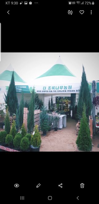 도시농부 엄미순님의 11월 내 작물 자랑하기 · 참여글 작성글 사진