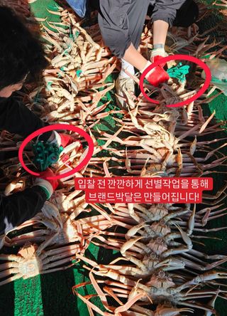 노가네수산님의 장터이야기 · 자유게시판 작성글 사진