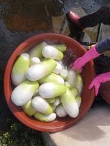 팜모닝 11월 내 작물 자랑하기·참여글 게시글 이미지