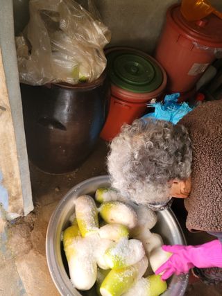 김흥환 님의 11월 내 작물 자랑하기 · 참여글 작성글 사진