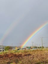 팜모닝 자유주제·자유게시판 게시글 이미지