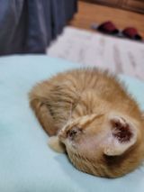 팜모닝 자유주제·자유게시판 게시글 이미지