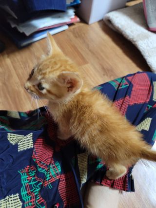 빛그린 김용화님의 자유주제 · 자유게시판 작성글 사진