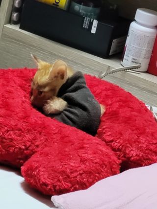 빛그린 김용화님의 자유주제 · 자유게시판 작성글 사진